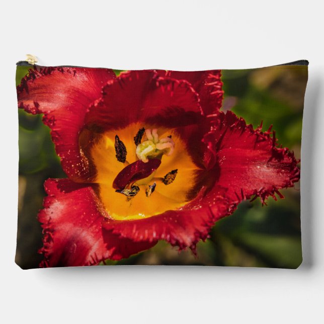 Tulpe Zubehörtasche (Vorderseite)