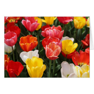 Tulpegrußkarte
