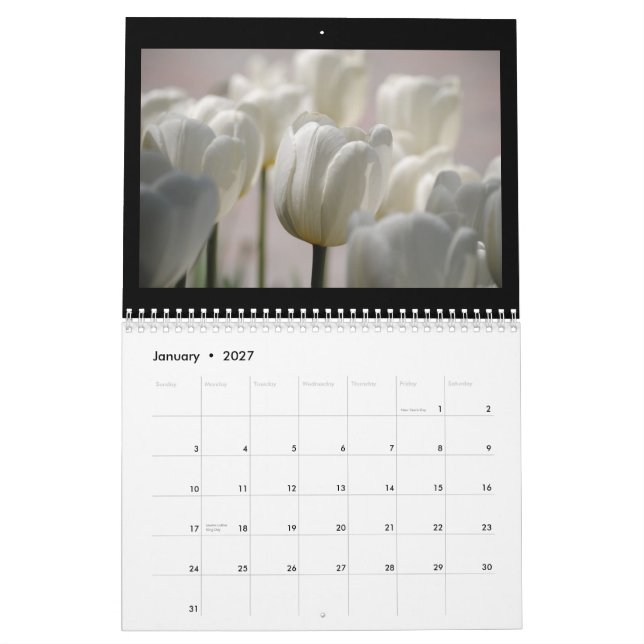 Tulpen 2013 kalender (Jan 2027)