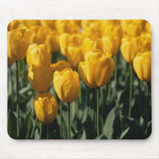 Tulpen 3 mousepad (Vorne)