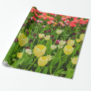 Tulpen auf glänzendem Geschenkpapier