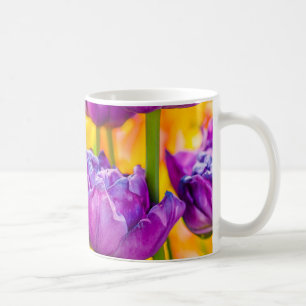 Tulpen bezaubernd tiefrosa tasse
