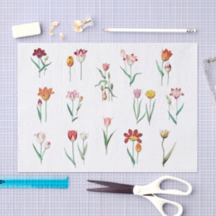 Tulpen-Blumen-Seidenpapier Seidenpapier