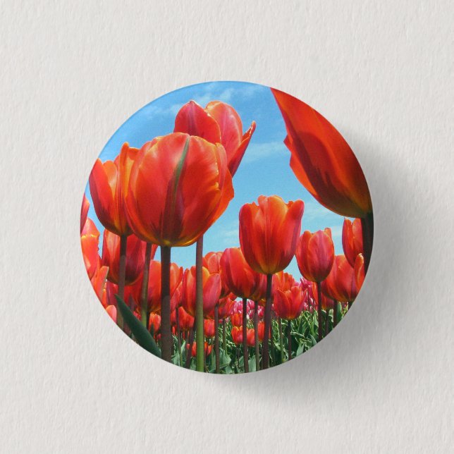 Tulpen Button (Vorderseite)