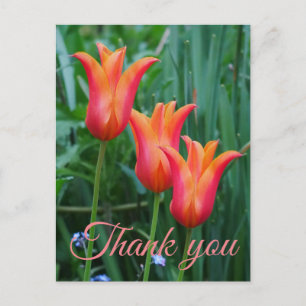 Tulpen Dankeschön-Postkarte Postkarte