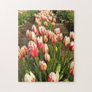 Tulpen der Happy Generation Puzzle