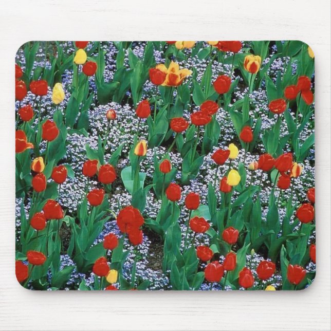 Tulpen durch TDGallery Mousepad (Vorne)