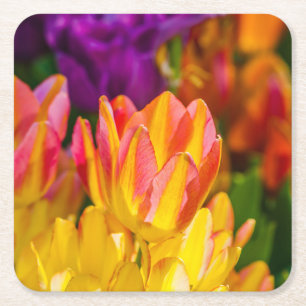 Tulpen Enchanting 16 Rechteckiger Pappuntersetzer
