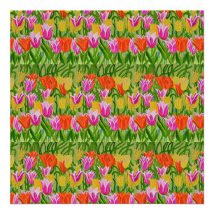 Tulpen Foto