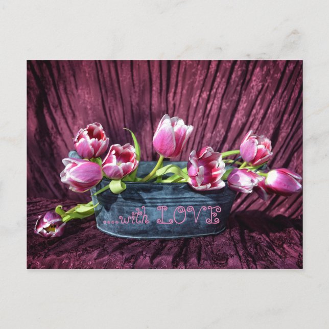 Tulpen für Dich ... Postkarte (Vorderseite)