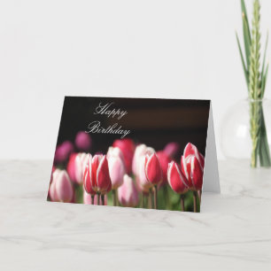 Tulpen-Geburtstagskarte oder Grußkarte. Anpassen Karte