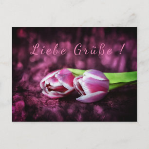 Tulpen Grüße Postkarte