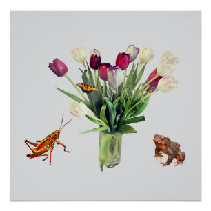 Tulpen, Heuschrecke, Schmetterling und Frosch Poster