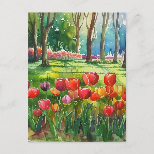 Tulpen im Park Postkarte (Vorderseite)