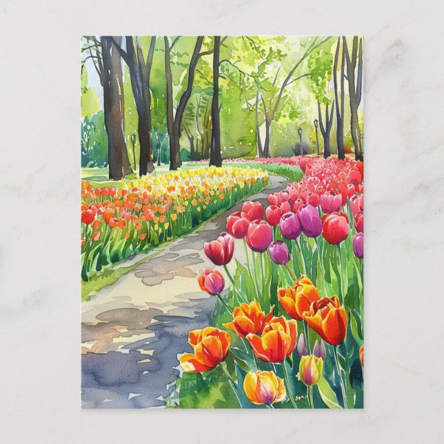 Tulpen im Park Postkarte (Vorderseite)