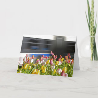 Tulpen im Stadtesprit Karte