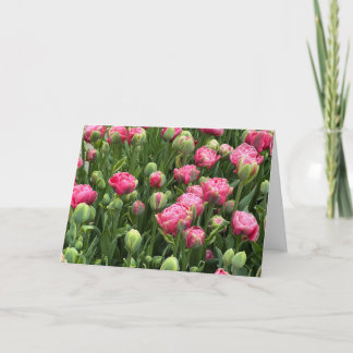 Tulpen im Überfluss Leere Grußkarte Karte