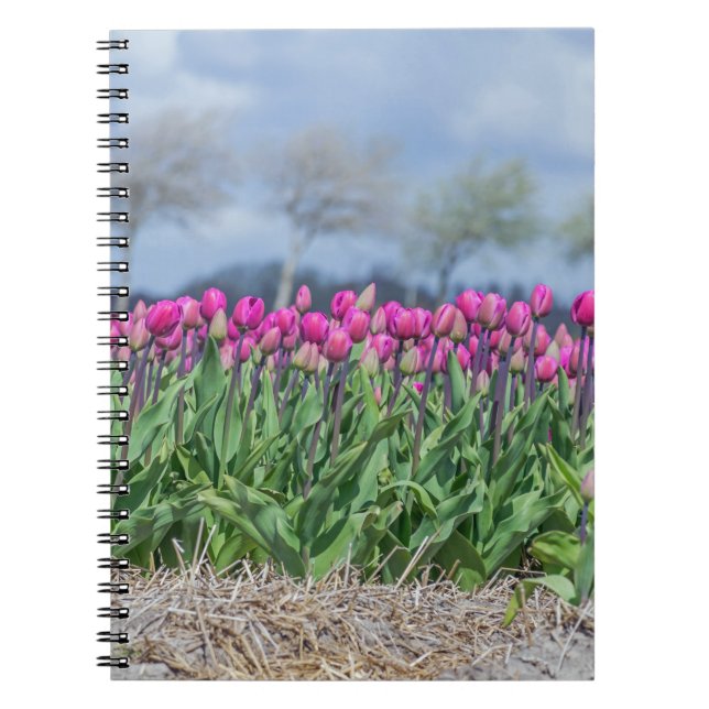 Tulpen im Windnotizbuch Notizblock (Vorderseite)
