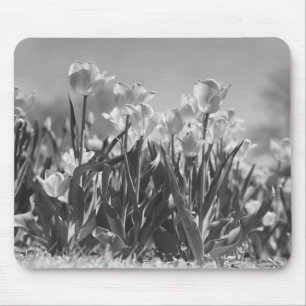 Tulpen in der Blüte Mousepad