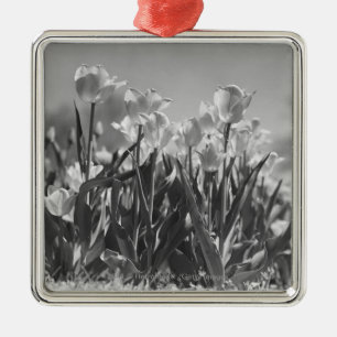 Tulpen in der Blüte Ornament Aus Metall