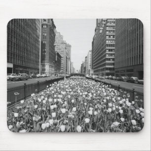 Tulpen in der Mitte der Stadtstraße Mousepad