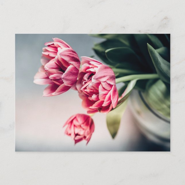Tulpen in einem Vase Postkarte (Vorderseite)