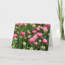 Tulpen in Hülle und Fülle Grußkarte ohne Text Karte