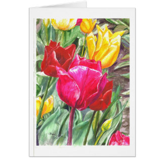 Tulpen in ihrem Besten