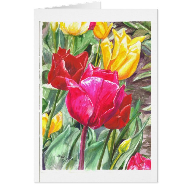 Tulpen in ihrem Besten (Vorne)