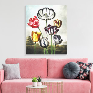 Tulpen in verschiedenen Farben im launischen Regen Leinwanddruck