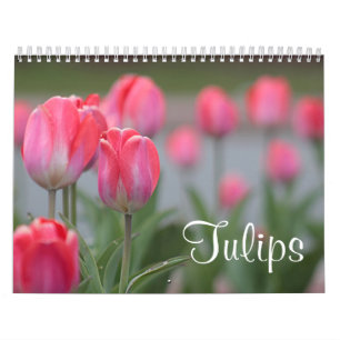 Tulpen Kalender