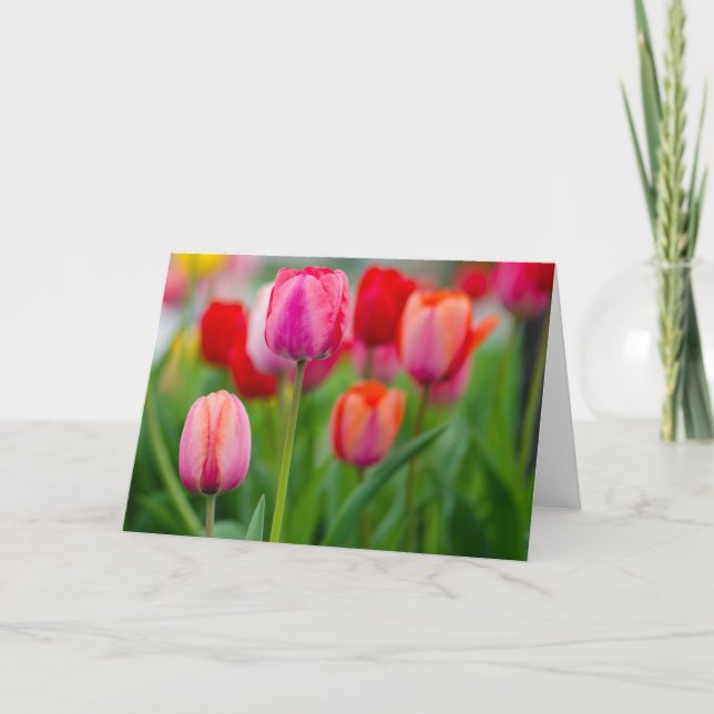 Tulpen Karte (Vorderseite)