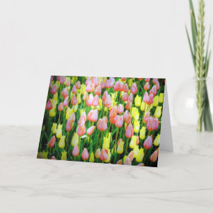 Tulpen Karte