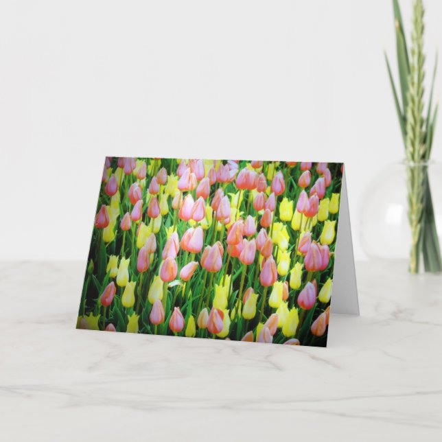 Tulpen Karte (Vorderseite)