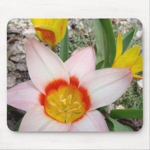 TULPEN MAUSPAD Pink Tulpe Blumen MAUS PAD