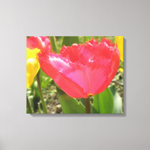 Tulpen mit Fransensaum Leinwanddruck