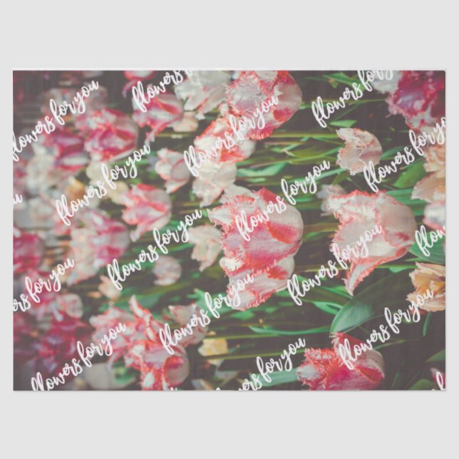 Tulpen mit Vintagem Rosa Seidenpapier (Vorderseite)