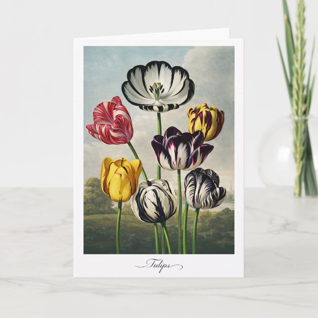 Tulpen — Moderne botanische Neuinterpretation Karte (Vorderseite)