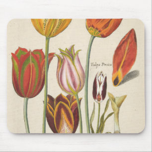 Tulpen Mousepad