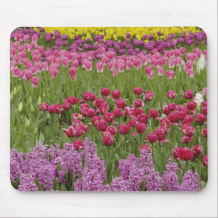 Tulpen-, Narzissen- und Hyazinthen-Garten Mousepad
