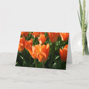 Tulpen NoteCard Karte