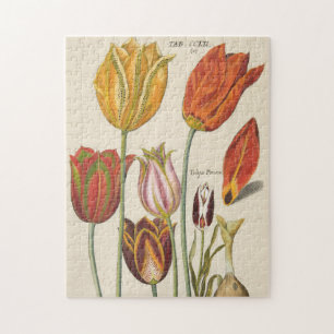 Tulpen Puzzle