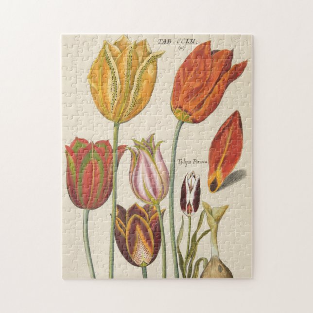 Tulpen Puzzle (Vertikal)