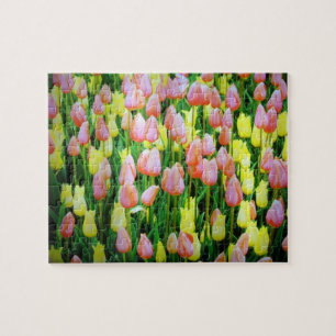 Tulpen Puzzle
