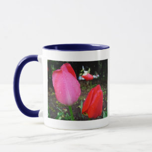 Tulpen, Regentropfen Tasse