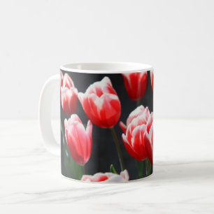 Tulpen, rot und weiß kaffeetasse