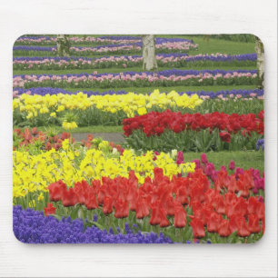 Tulpen, Traubenhyazinthen und Narzissen, 2 Mousepad