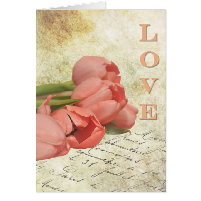 Tulpen und alter Brief (Vorne)