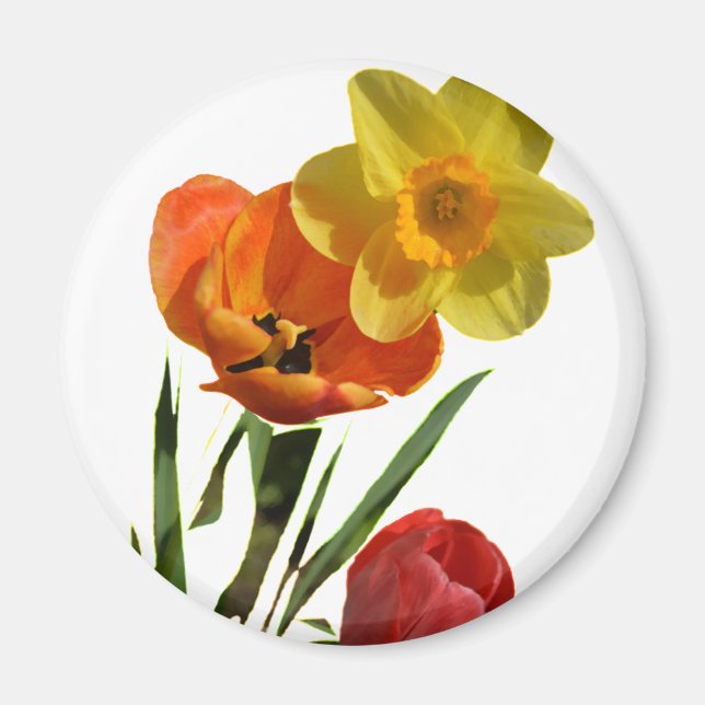 Tulpen und Blume Magnet (Vorne)