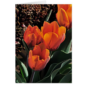 Tulpen und Hennen